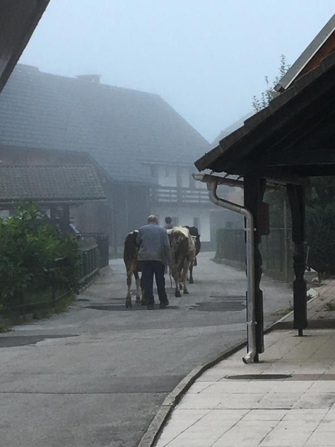 보히니 The 1882 Old House Vodnikova 빌라 외부 사진